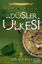 Düşler Ülkesi